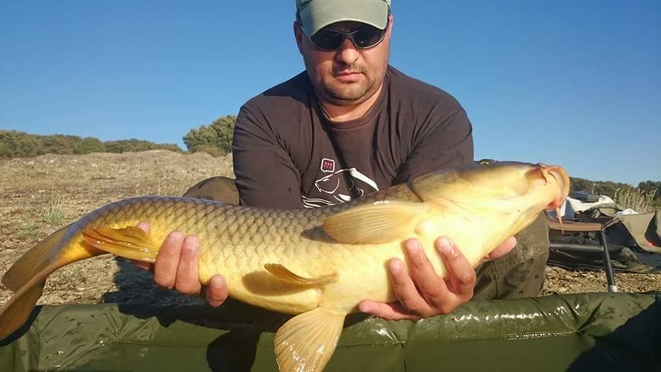 O toamnă târzie.  - fbimg1450554795770.jpg